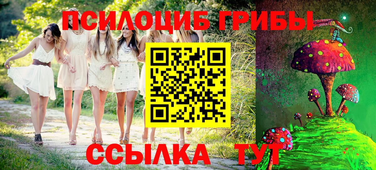 Псилоцибиновые грибы Cubensis Канск