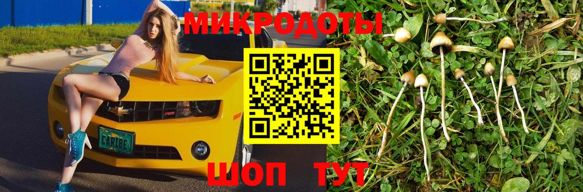 Канск  Псилоцибиновые грибы GOLDEN TEACHER  Вход с VPN 